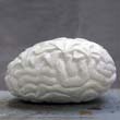 marmerbrein - marble brains