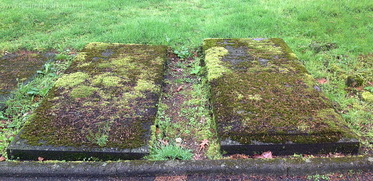 Met mos begroeide grafstenen